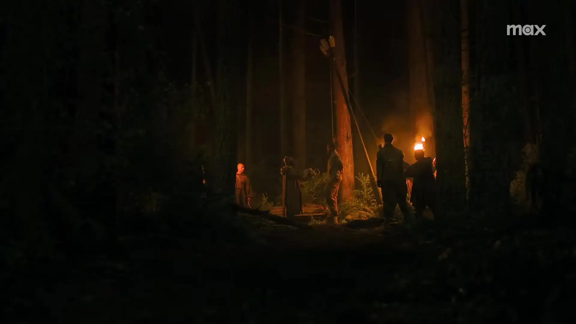 The Last Of Us Serafitas